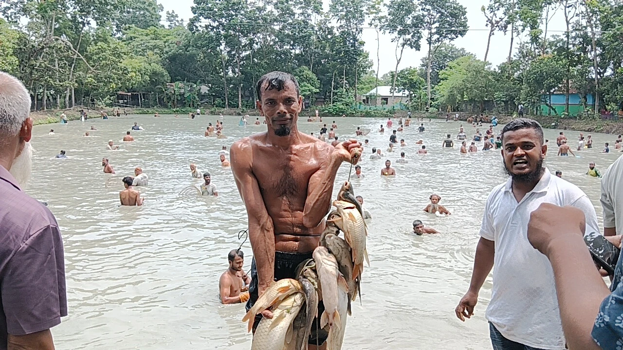 কুমিল্লায় পলো দিয়ে মাছ ধরা উৎসব